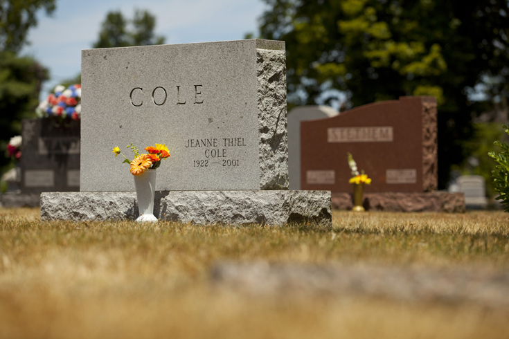 ForeverSafe™ Cemetery Vasese